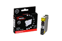 Cartucho EVERTEC compatible con EPSON 206 BK